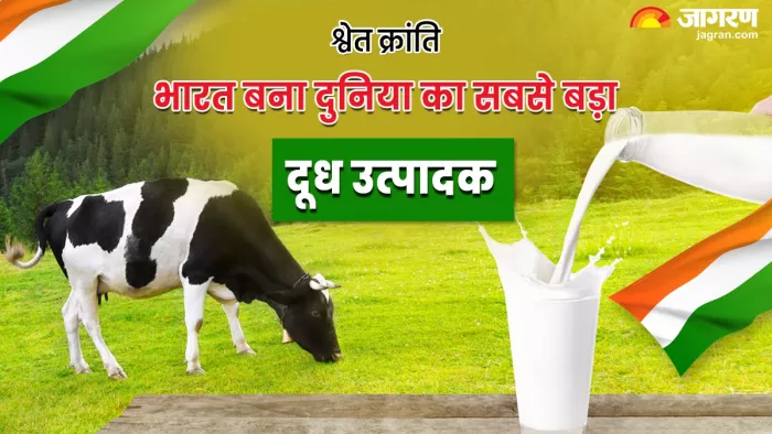 श्वेत क्रांति ने बदली किसानों और महिलाओं की तकदीर